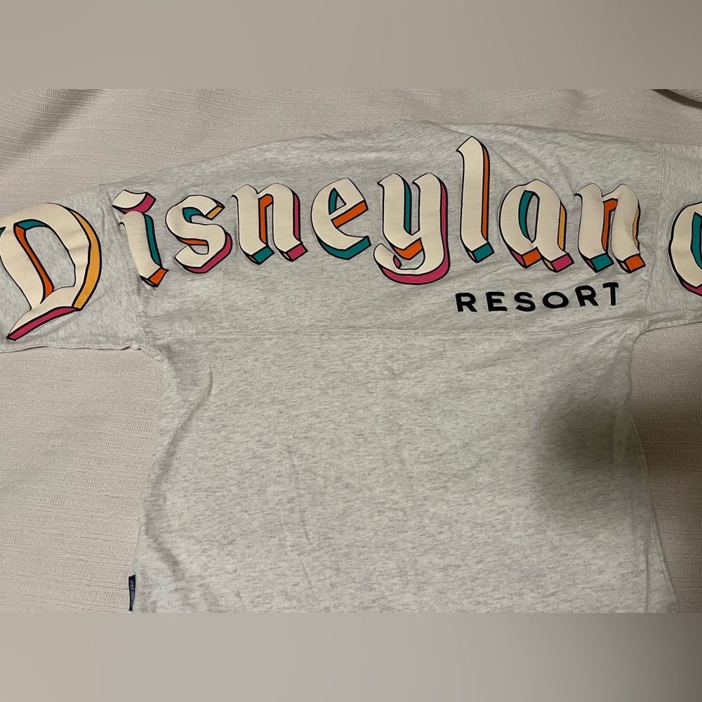 XS Disneyland Resort Spirit Jersey multi-colored gray